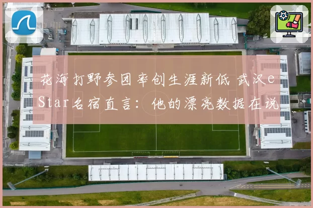 花海打野参团率创生涯新低 武汉eStar名宿直言:他的漂亮数据在说谎