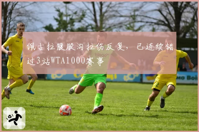 佩古拉腹股沟拉伤反复,已连续错过3站WTA1000赛事