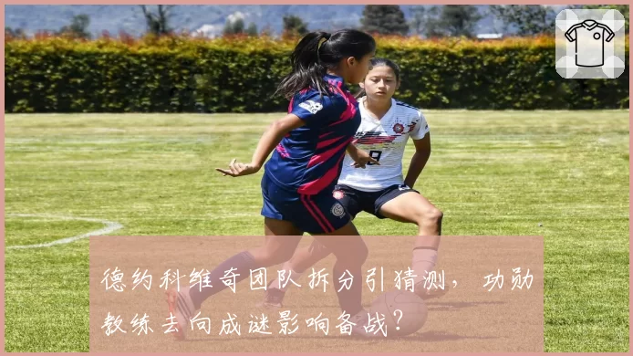德约科维奇团队拆分引猜测，功勋教练去向成谜影响备战？