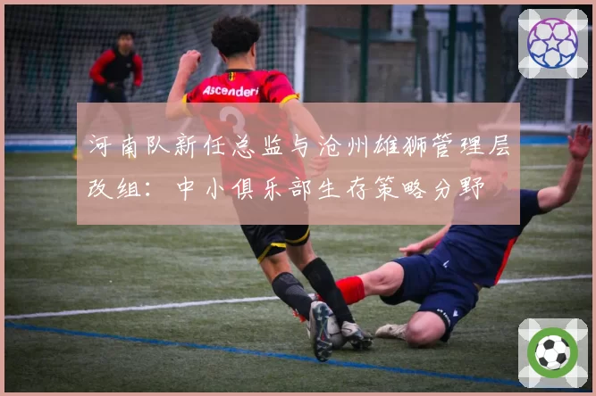 河南队新任总监与沧州雄狮管理层改组：中小俱乐部生存策略分野