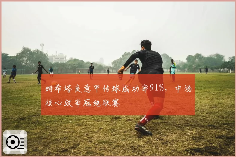 姆希塔良意甲传球成功率91%，中场核心效率冠绝联赛