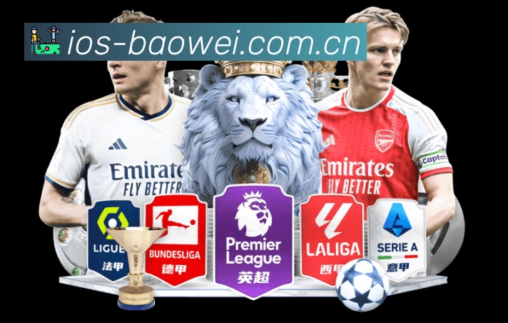 宝威体育官网快速登录APP 封面图